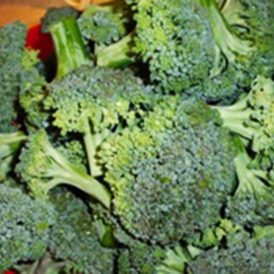 The Midwinter Garden Image